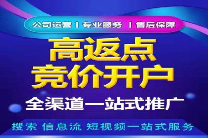 百度推广平台案例剖析：揭秘广告投放策略